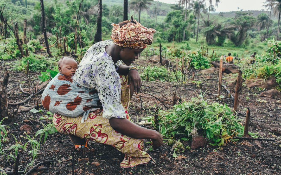BURKINA FASO/Agriculture